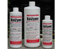 KoiZyme