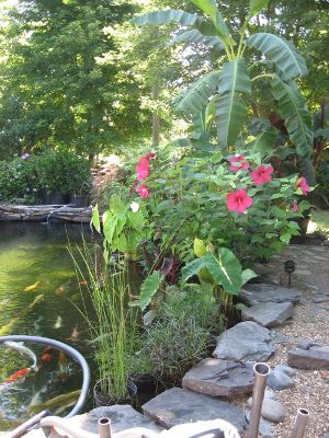 Side view of the plant shelf
