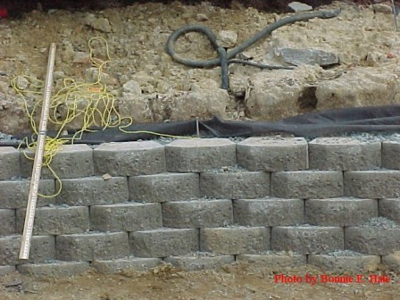 Cement blocks built to hold the pond wall in place