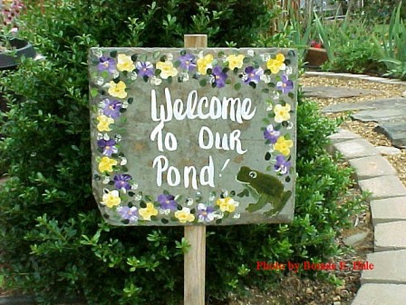 Near the entrance to the back yard