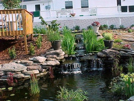 Deck on the back of the house